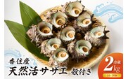 【兵庫県香住産 天然活サザエ 2kg 冷蔵】宿院商店 33-20