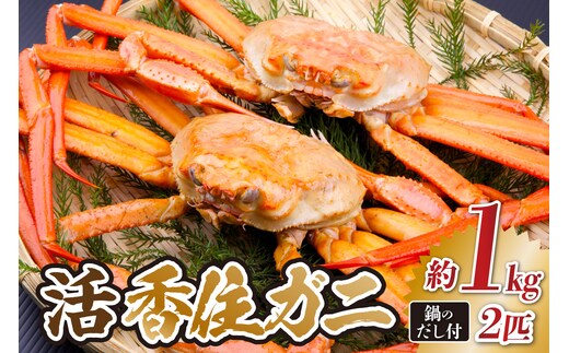 兵庫県香住産 活 香住ガニ 姿 約1kg×2匹 冷蔵 【令和9年2月以降発送予定】 かに 香美町 33-34