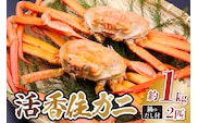 《先行予約》 兵庫県香住産 活 香住ガニ 姿 約1kg×2匹  冷蔵 【令和9年2月以降発送予定】 かに 香美町 33-34