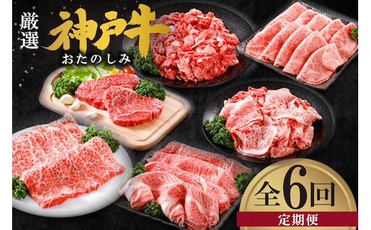 【定期便】定期便 平山牛舗の厳選神戸牛 月1回発送 全6回 冷凍 香美町 61-14