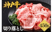 【神戸牛 切り落とし 450g】冷凍 平山牛舗 61-02