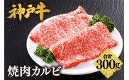神戸牛 焼肉 カルビ 300g（300g×1P） 冷凍 平山牛舗 61-03
