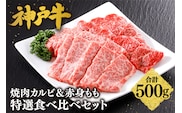 神戸牛 焼肉 カルビ＆赤身もも 特選 食べ比べセット 500g 冷凍 平山牛舗 61-04