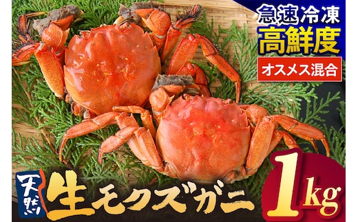 天然 生モクズガニ 約1kg 冷凍 かに 香美町 74-34