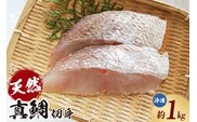 【瞬凍結 天然真鯛 切身 約1kg 冷凍】入金確認後、順次発送予定  兵庫県 香美町 山米鮮魚 74-26