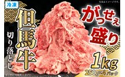 但馬牛がっせぇ盛り スライス切り落とし計1kg（250g×4） 冷凍 牛肉 香美町 72-23