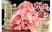 但馬牛がっせぇ盛り 焼肉用計1kg（250g×4）冷凍 牛肉 香美町 72-24
