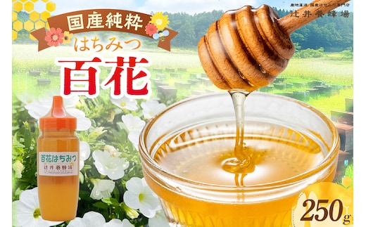 【国産純粋 百花はちみつ 250g】辻井養蜂場 81-02