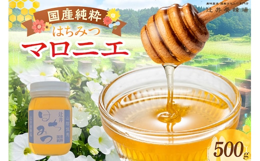【国産純粋 マロニエはちみつ 500g】辻井養蜂場 81-04