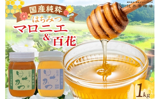 【国産純粋 マロニエはちみつ・百花はちみつ 各500g 計1kg】辻井養蜂場 81-06