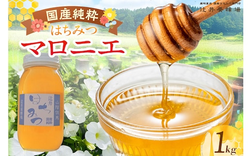 【国産純粋 マロニエはちみつ 1kg】辻井養蜂場 81-07