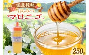 【国産純粋 マロニエはちみつ 250g】辻井養蜂場 81-01