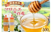 【国産純粋 マロニエはちみつ・百花はちみつ 各250g 計500g】辻井養蜂場 81-03