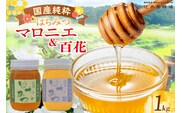 【国産純粋 マロニエはちみつ・百花はちみつ 各500g 計1kg】辻井養蜂場 81-06