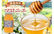 【国産純粋 マロニエはちみつ 1kg】辻井養蜂場 81-07