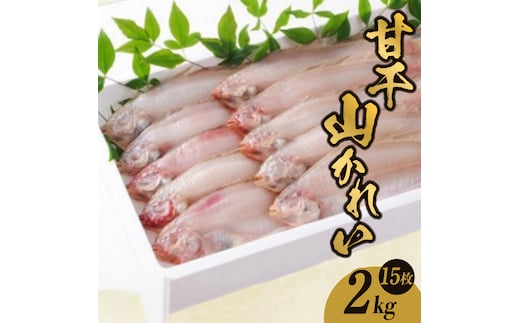 【甘干山かれい 2kg（15枚入り）】兵庫県 香美町 香住 蔵平水産 08-06