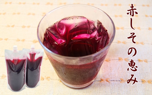 濃い赤しそシロップ「赤しその恵み」2本×1kg(5～7倍濃縮)国産赤紫蘇ジュース かさばらない容器