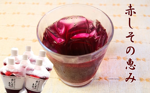 濃い赤しそシロップ「赤しその恵み」6本×約200g 濃縮タイプの赤紫蘇ジュース かさばらない容器
