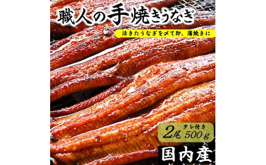 職人の手焼き 活〆うなぎ蒲焼 2尾入り(計500g) 国産