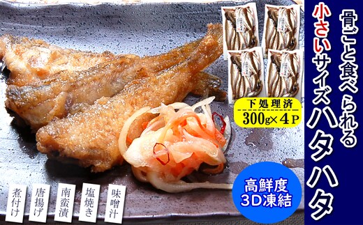 小さいサイズのハタハタ 計1.2kg(300g×4パック)下処理済 小分け 煮付け 塩焼き 唐揚げ 