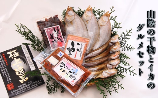 山陰の干物とイカのグルメセット