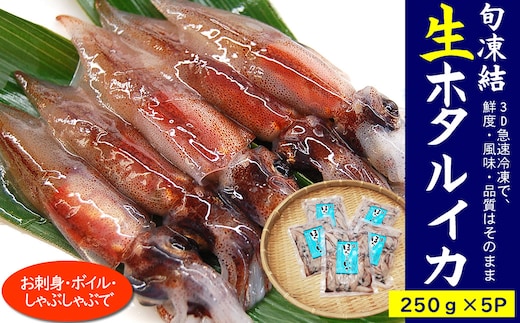 旬凍結ホタルイカ 約250g×5パック 【3D凍結】
