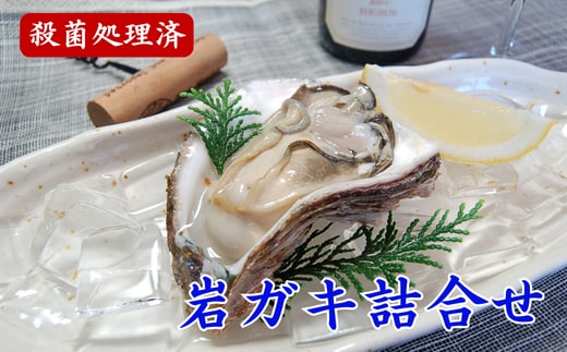 山陰の天然岩ガキ詰合せ(大きさにより5～7個入) 牡蠣は殺菌済 下処理済 生食OK バーベキュー