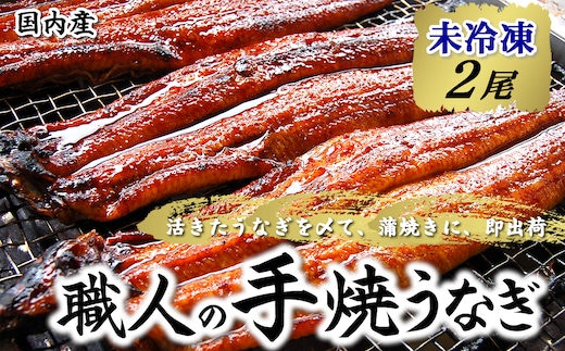 【焼きたて即出荷】職人の手焼き 活〆うなぎ蒲焼2尾入(中骨・肝付)国産/未冷凍 本物の肝吸いをお届け