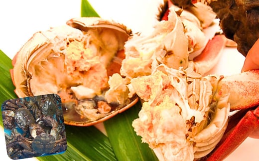 天然 モクズガニ(生冷凍)約2kg 活〆高鮮度3D急速冷凍品 兵庫県新温泉町 