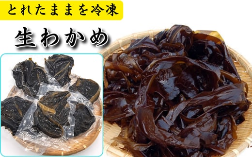 とれたままを冷凍 漁師中村さんが育てた柔らかく歯ごたえ抜群 生わかめ(冷凍)