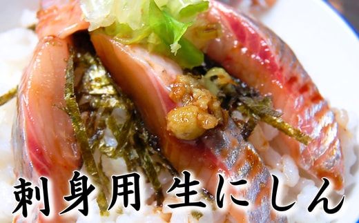 スキンレス 生にしんのお刺身 2~4パック 個包装