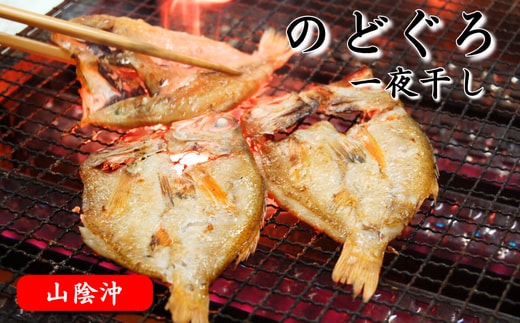 のどぐろ(赤睦)開き一夜干し 中型サイズ2枚【数量限定】個包装でお届け