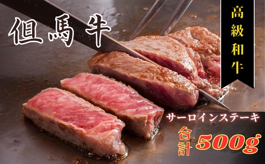 但馬牛サーロインステーキ2枚入り【250g×2】