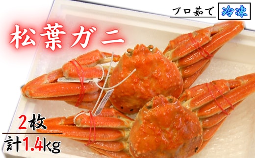 松葉ガニの本場より プロ茹で松葉ガニ(冷凍) 約700g×2枚