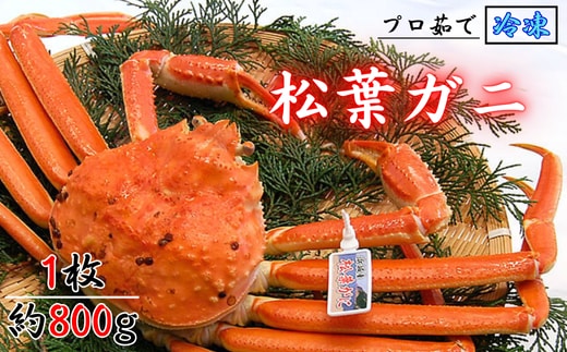 松葉ガニの本場より プロ茹で松葉ガニ(冷凍) 1枚 約800g