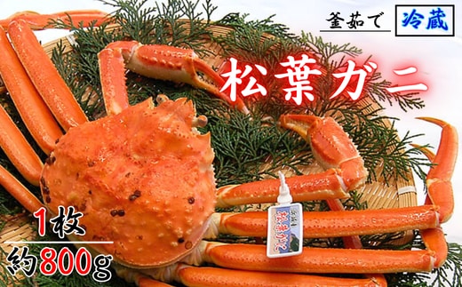  松葉ガニの本場より活〆茹でたてを即出荷 釜茹で松葉ガニ(冷蔵) 1枚 約800g