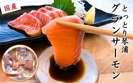 薬剤未使用で安心 国産とっとり琴浦グランサーモン刺身用 500g訳あり 小分け個包装で便利 ご当地