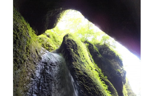 【兵庫・新温泉・自然体験】秘境の滝を目指して、シワガラの滝ガイドツアー!ペアチケット