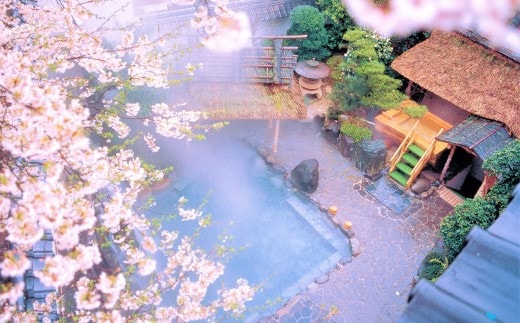 湯村温泉 朝野家 露天風呂付客室 一泊二食付宿泊券(2名様ペア・平日限定)