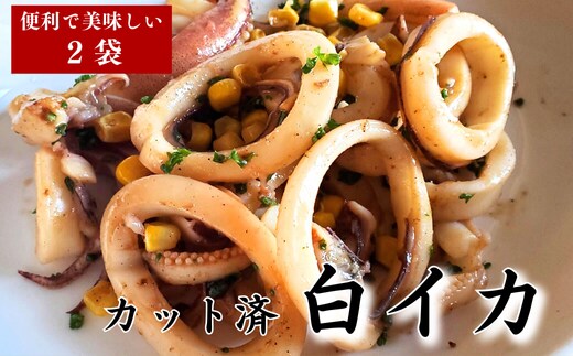 カット済・やわらか白イカ(生凍結)300g×2袋 兵庫県新温泉町