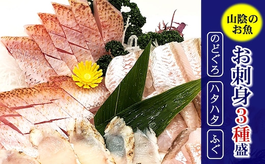 山陰のお刺身用魚3点詰合せセット(ノドグロ、ハタハタ、フグの3種) 