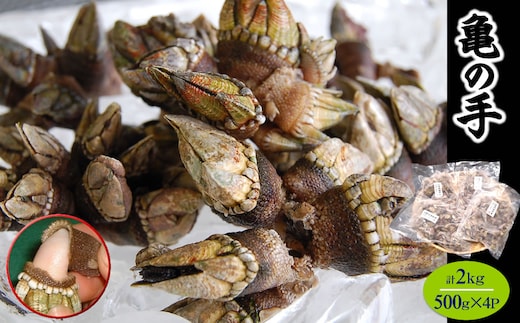 亀の手 500g×4袋 計2kg 兵庫県新温泉町 