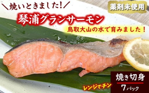 国産とっとり琴浦グランサーモン焼いときました 焼魚7切 塩焼き 不揃いのため訳あり 個包装 レンチン