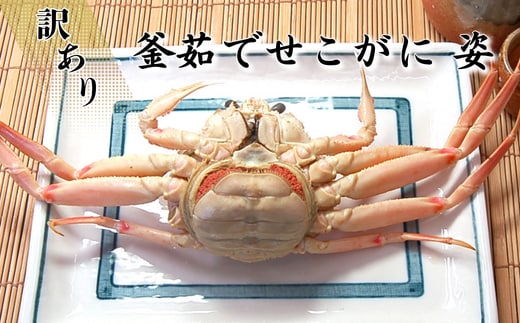 松葉ガニの本場 訳あり釜茹でセコガニ姿(冷凍)大サイズ4杯 高鮮度3D凍結 せいこがに 親ガニ メス