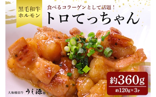 (冷凍) 国産 黒毛和牛 味付 トロてっちゃん 120g×3パック／うし源本店 ホルモン バーベキュー キャンプ アウトドア 父の日 奈良県 宇陀市 お中元 贈答用 贈り物 暑中見舞い お土産 お歳暮 内祝いまとめ買い 美味しい部位 キャンプ 送料無料 味付き