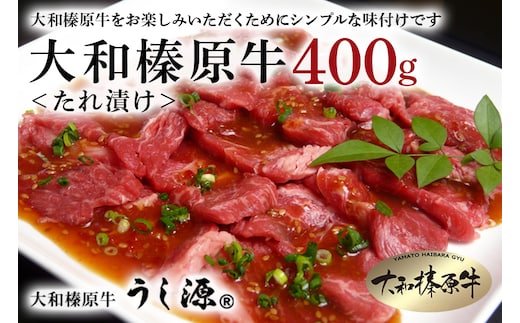(冷凍)大和榛原牛 たれ漬け400g / 黒毛和牛 A5 おかず 時短 焼肉 BBQ バーベキュー キャンプ アウトドア 父の日 母の日 手土産 奈良県 宇陀市 お中元 贈答用 贈り物 暑中見舞い お土産 お土産 お歳暮 内祝いまとめ買い 美味しい部位 キャンプ 送料無料 味付き 正月