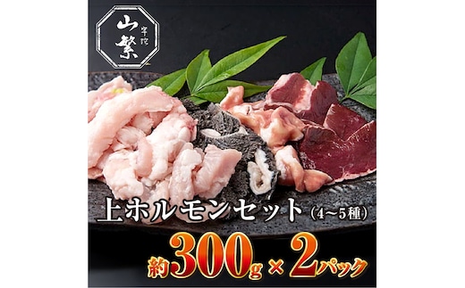 特産 認定肉 宇陀牛 国産 黒毛和牛 希少 上ホルモン 4～5種 約300g×2 / 宇陀 山繁 ふるさと納税 牛肉 焼肉 レア 人気 BBQ ランキング おすすめ グルメ 肉 返礼品 商品 送料無料