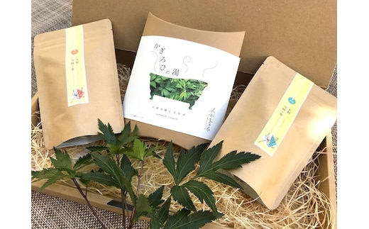 大和当帰 ギフトパック / 大和かぎろひ 当帰葉 ヨモギ 入浴剤 乾燥茶 焙煎茶 奈良県 宇陀市 お中元 贈答用 贈り物 暑中見舞い お土産
