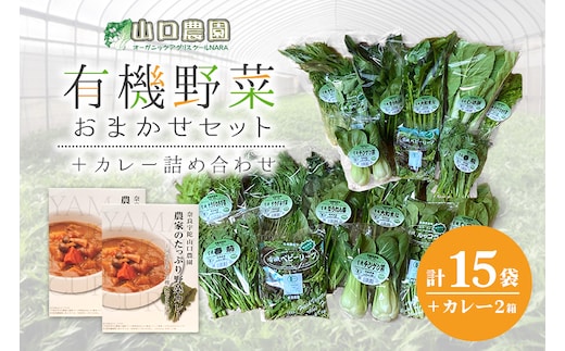 （チルド）山口農園 有機野菜 おまかせセット ＋ カレー２箱 詰合せ / ふるさと納税 山口農園 有機野菜 伝統野菜 オーガニック ベジタリアン 定期便 カレー 無農薬 野菜セット 農家直送 詰め合わせ 奈良県 宇陀市 