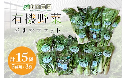 （チルド）山口農園 有機野菜 おまかせセット ／ふるさと納税 山口農園 伝統野菜 オーガニック ベジタリアン 無農薬 野菜セット 農家直送 詰め合わせ 奈良県 宇陀市 